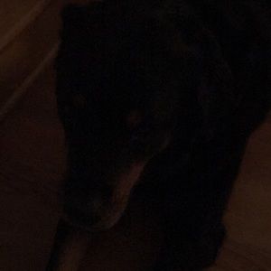 Meet your Posher, Melanie